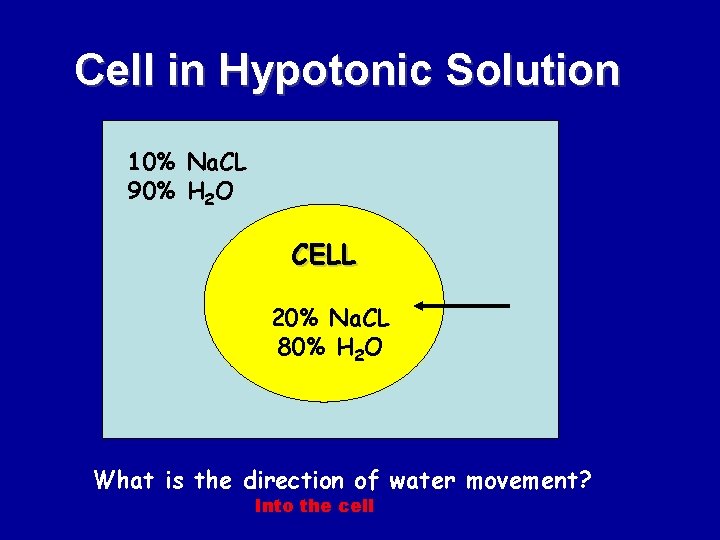 Cell in Hypotonic Solution 10% Na. CL 90% H 2 O CELL 20% Na.