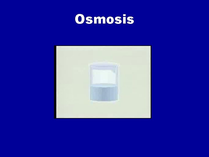 Osmosis 