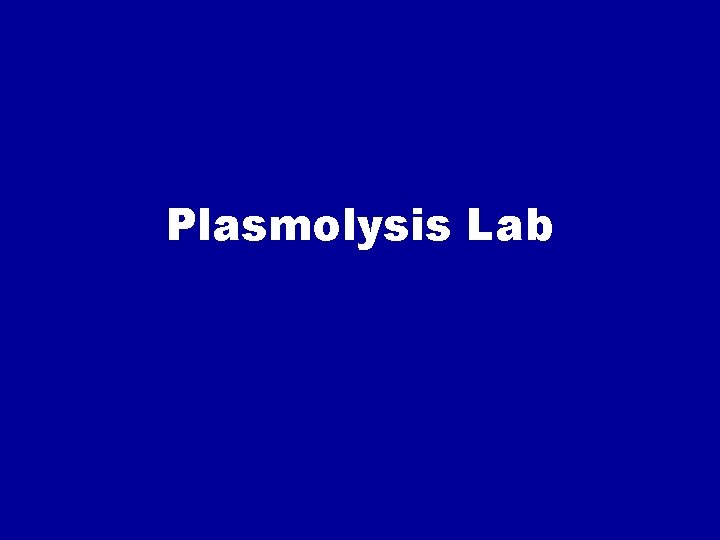 Plasmolysis Lab 