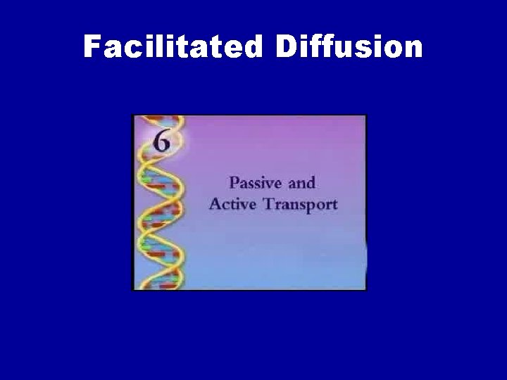 Facilitated Diffusion 