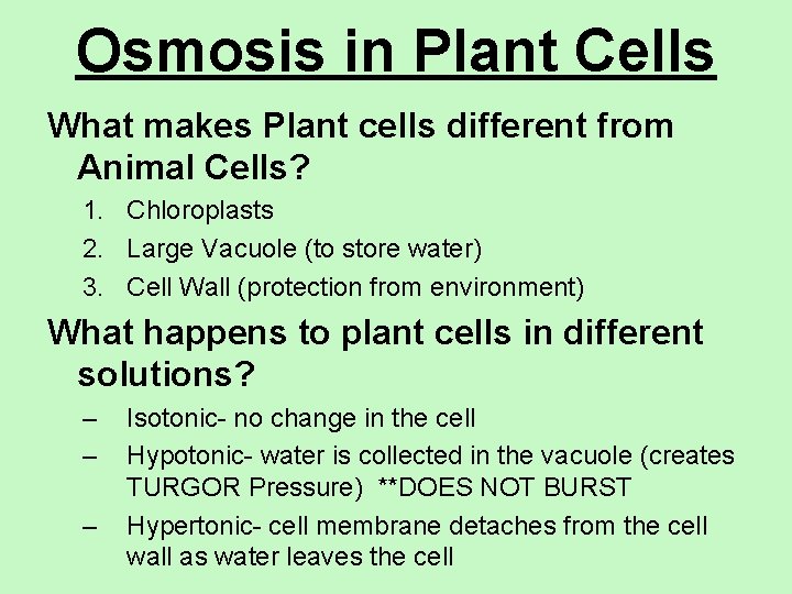 Osmosis in Plant Cells What makes Plant cells different from Animal Cells? 1. Chloroplasts