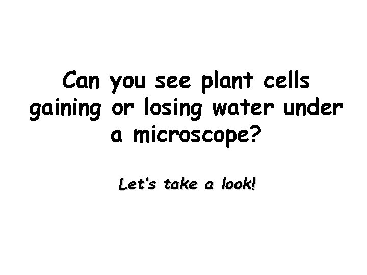 Can you see plant cells gaining or losing water under a microscope? Let’s take