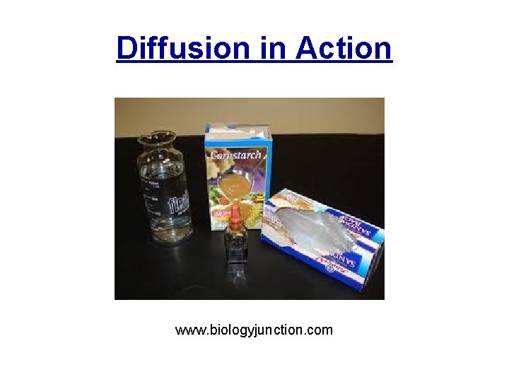 Diffusion in Action www. biologyjunction. com 