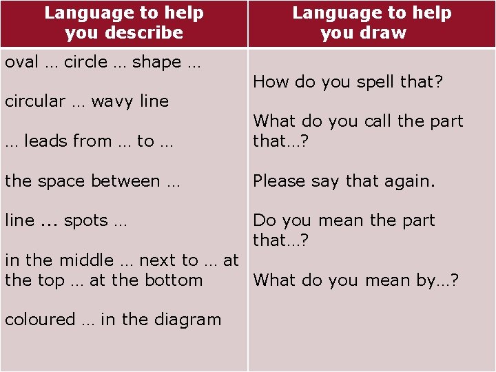 Language to help you describe oval … circle … shape … circular … wavy