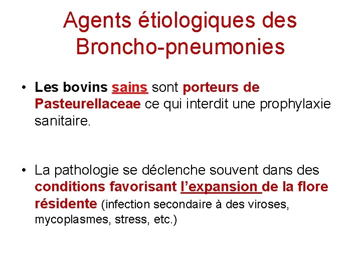 Agents étiologiques des Broncho-pneumonies • Les bovins sains sont porteurs de Pasteurellaceae ce qui