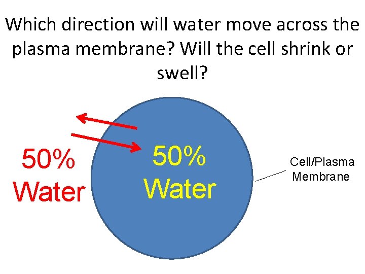 Which direction will water move across the plasma membrane? Will the cell shrink or