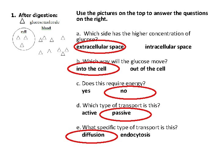 Use the pictures on the top to answer the questions on the right. a.