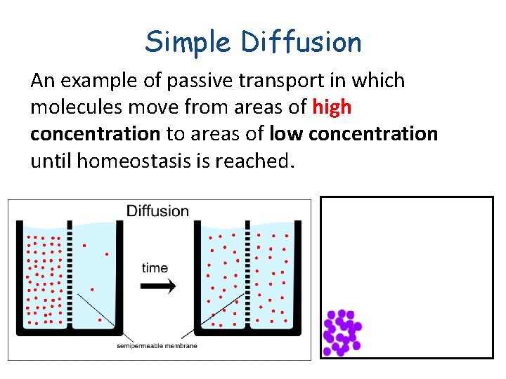 Simple Diffusion An example of passive transport in which molecules move from areas of