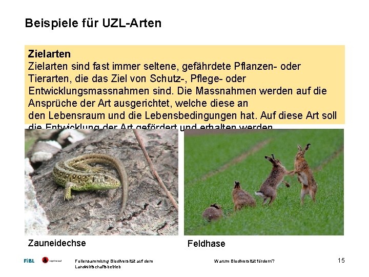 Beispiele für UZL-Arten Zielarten sind fast immer seltene, gefährdete Pflanzen oder Tierarten, die das
