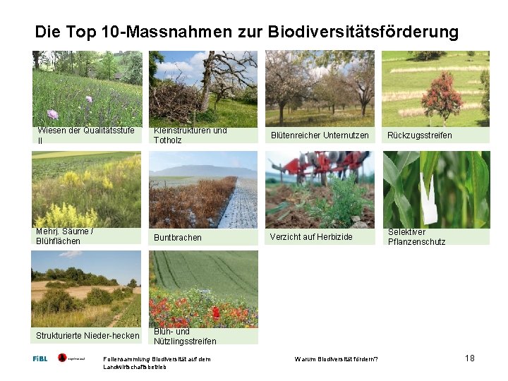 Die Top 10 -Massnahmen zur Biodiversitätsförderung Wiesen der Qualitätsstufe II Kleinstrukturen und Totholz Blütenreicher