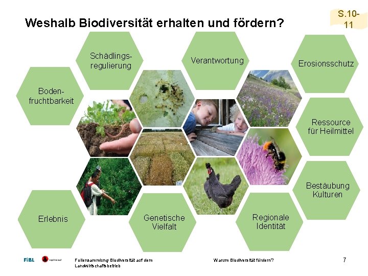 Weshalb Biodiversität erhalten und fördern? Schädlings regulierung Verantwortung S. 10 11 Erosionsschutz Boden fruchtbarkeit