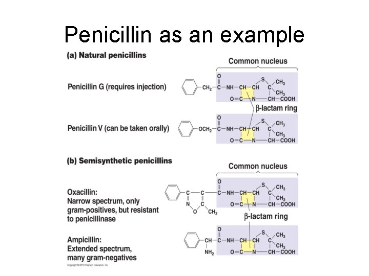 Chemical Control Methods Chemotherapy The Spectrum of Antimicrobial