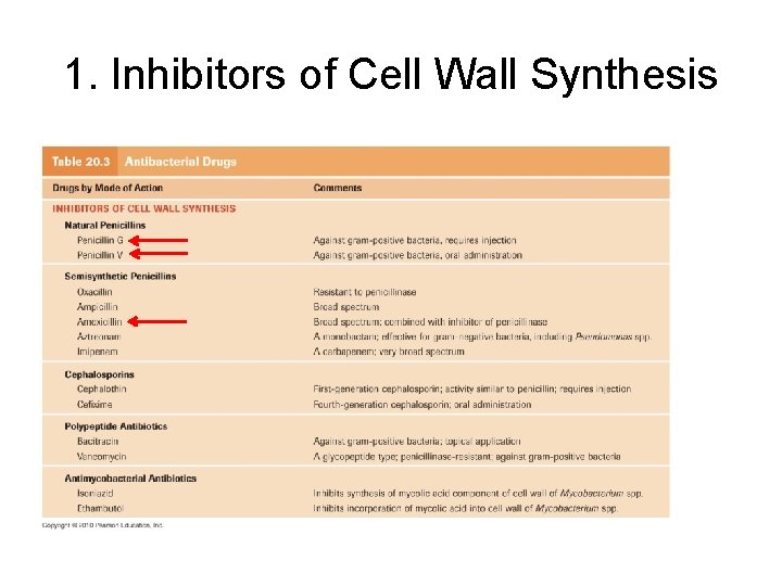 1. Inhibitors of Cell Wall Synthesis • An attractive target for the action of