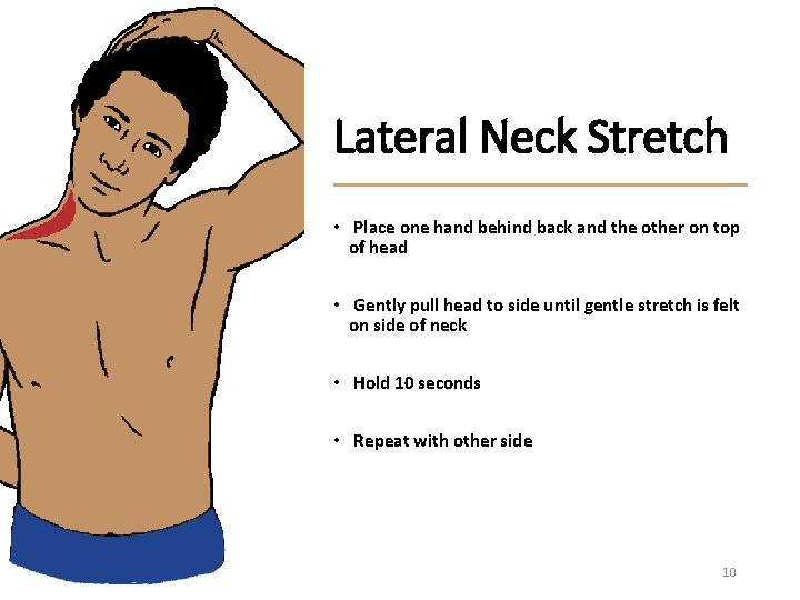 Lateral Neck Stretch • Place one hand behind back and the other on top