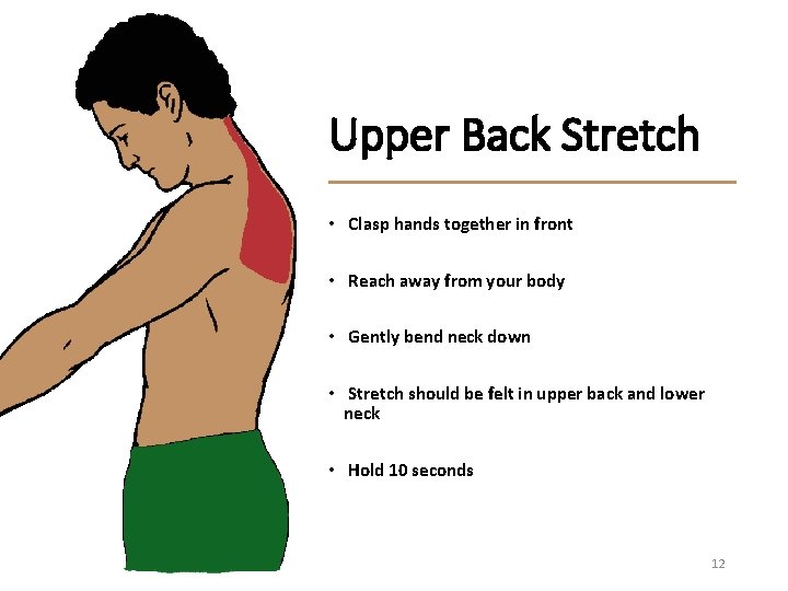 Upper Back Stretch • Clasp hands together in front • Reach away from your