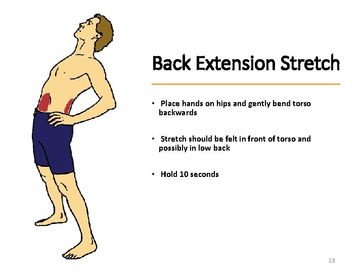 Back Extension Stretch • Place hands on hips and gently bend torso backwards •