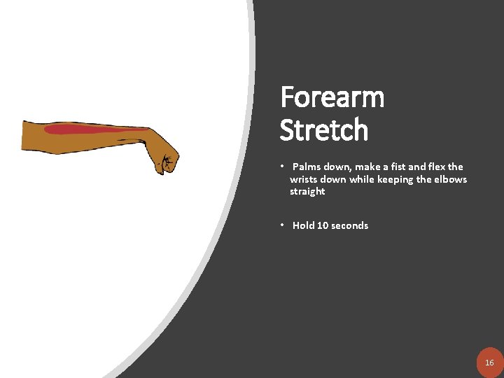 Forearm Stretch • Palms down, make a fist and flex the wrists down while