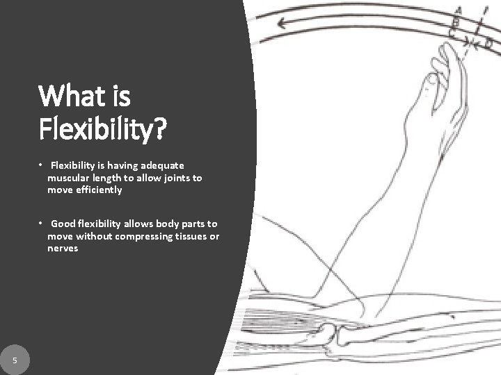 What is Flexibility? • Flexibility is having adequate muscular length to allow joints to