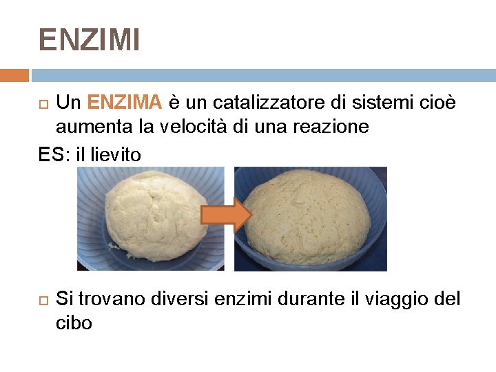 ENZIMI Un ENZIMA è un catalizzatore di sistemi cioè aumenta la velocità di una