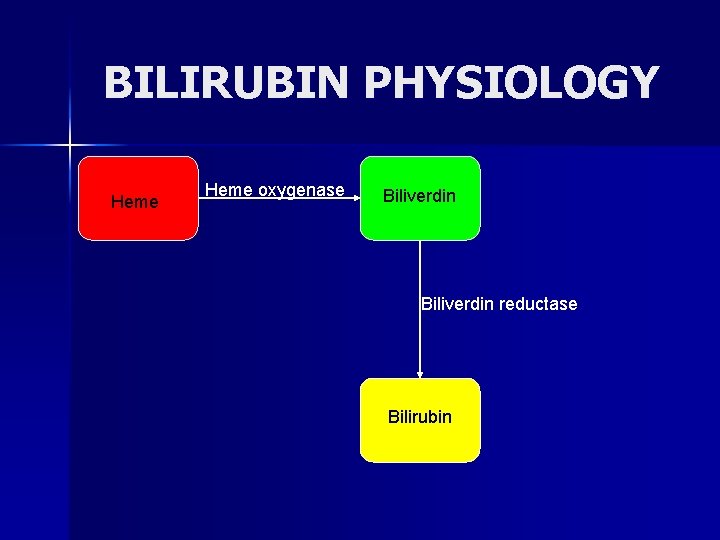 BILIRUBIN PHYSIOLOGY Heme oxygenase Biliverdin reductase Bilirubin 