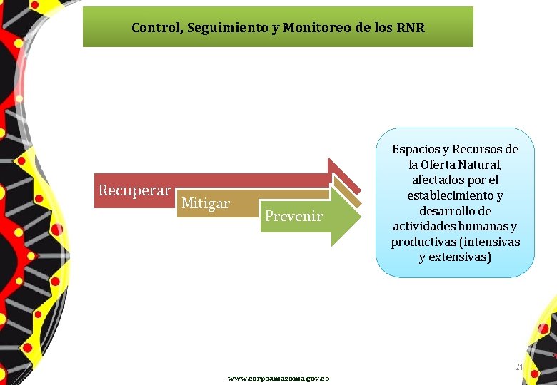 Control, Seguimiento y Monitoreo de los RNR Río Blanco Recuperar Mitigar Prevenir Espacios y