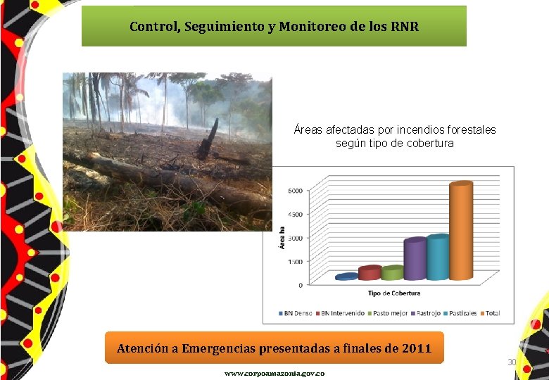 Control, Seguimiento y Monitoreo de los RNR Áreas afectadas por incendios forestales según tipo