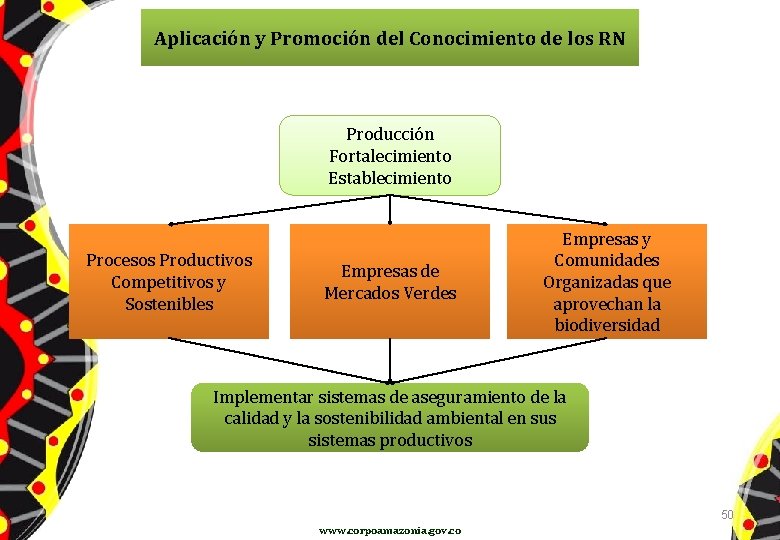 Aplicación y Promoción del Conocimiento de los RN Producción Fortalecimiento Establecimiento Procesos Productivos Competitivos