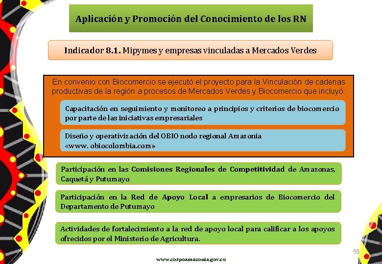 Aplicación y Promoción del Conocimiento de los RN Indicador 8. 1. Mipymes y empresas