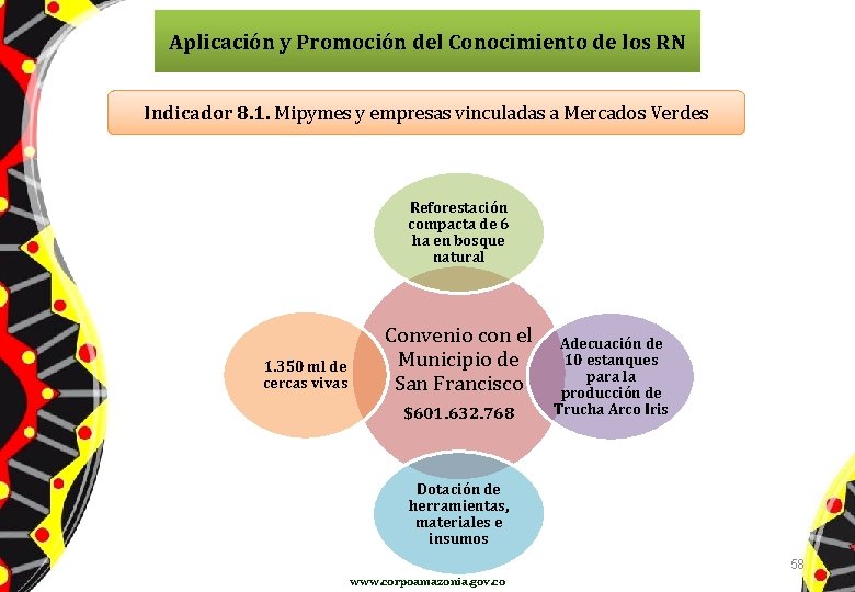 Aplicación y Promoción del Conocimiento de los RN Indicador 8. 1. Mipymes y empresas