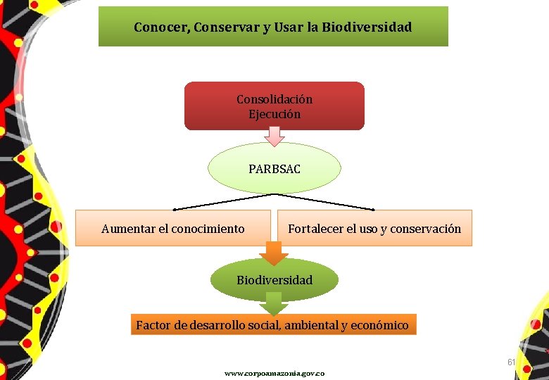 Conocer, Conservar y Usar la Biodiversidad Consolidación Ejecución PARBSAC Aumentar el conocimiento Fortalecer el