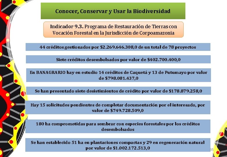 Conocer, Conservar y Usar la Biodiversidad Indicador 9. 3. Programa de Restauración de Tierras