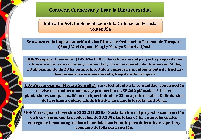 Conocer, Conservar y Usar la Biodiversidad Indicador 9. 4. Implementación de la Ordenación Forestal