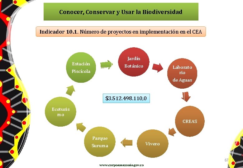 Conocer, Conservar y Usar la Biodiversidad Indicador 10. 1. Número de proyectos en implementación
