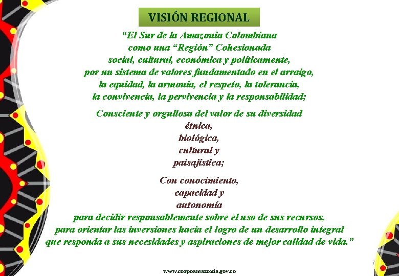 VISIÓN REGIONAL “El Sur de la Amazonia Colombiana como una “Región” Cohesionada social, cultural,