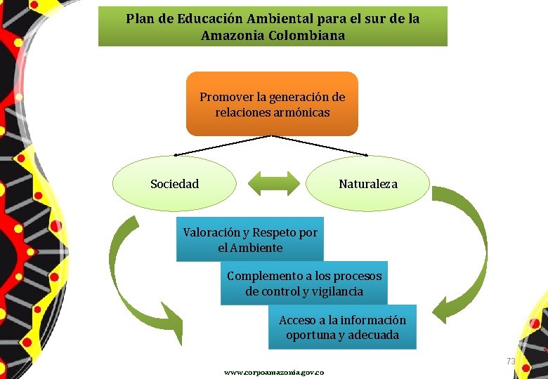 Plan de Educación Ambiental para el sur de la Amazonia Colombiana Promover la generación