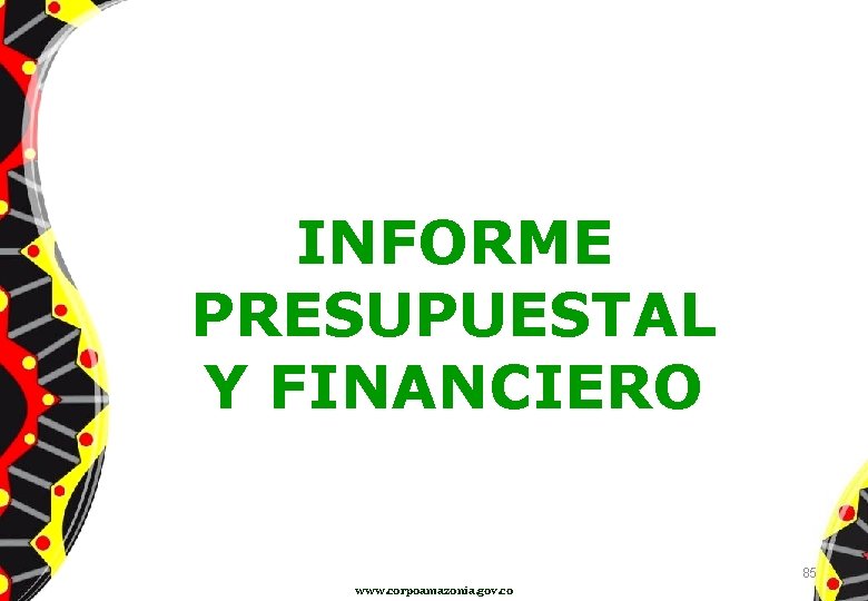 INFORME PRESUPUESTAL Y FINANCIERO 85 www. corpoamazonia. gov. co 