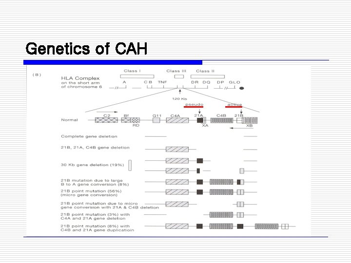 Genetics of CAH 