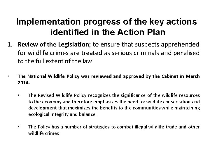 Implementation progress of the key actions identified in the Action Plan 1. Review of
