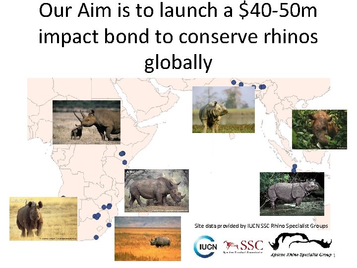 Our Aim is to launch a $40 -50 m impact bond to conserve rhinos