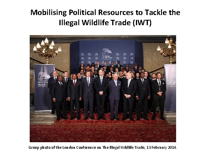 Mobilising Political Resources to Tackle the Illegal Wildlife Trade (IWT) Group photo of the