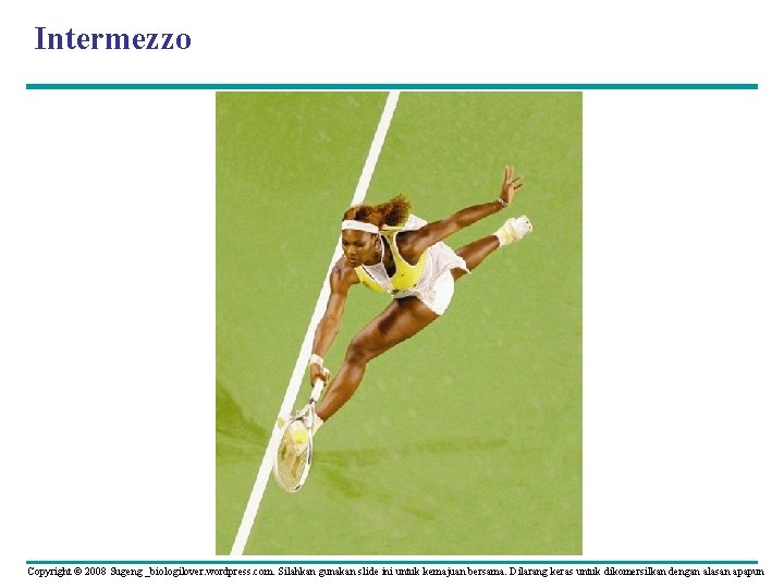 Intermezzo Copyright © 2008 Sugeng _biologilover. wordpress. com. Silahkan gunakan slide ini untuk kemajuan