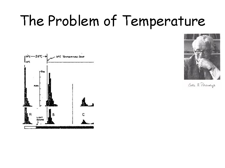 The Problem of Temperature 