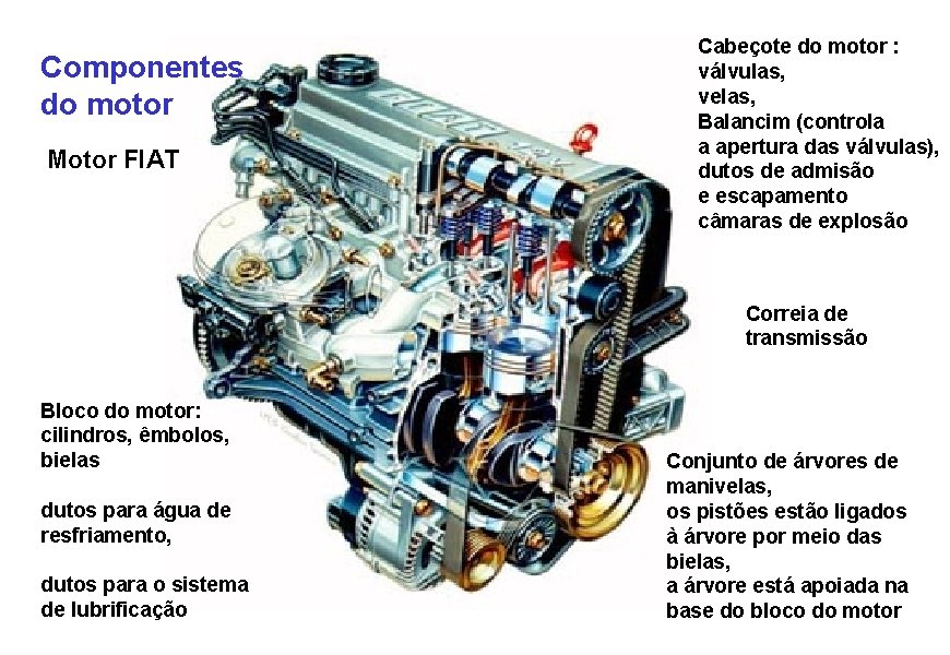 Componentes do motor Motor FIAT Cabeçote do motor : válvulas, velas, Balancim (controla a