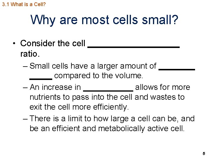 3. 1 What is a Cell? Why are most cells small? • Consider the
