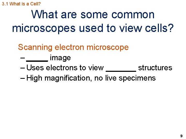 3. 1 What is a Cell? What are some common microscopes used to view