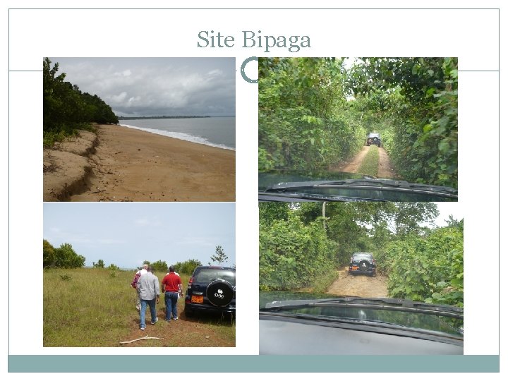 Site Bipaga 