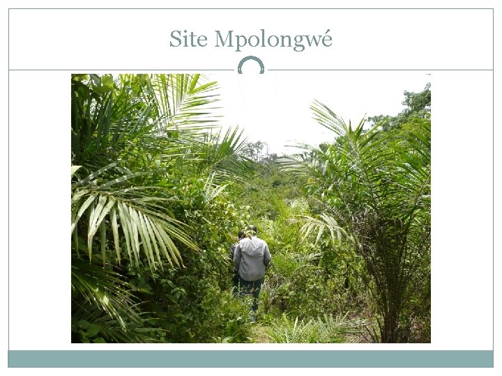 Site Mpolongwé 