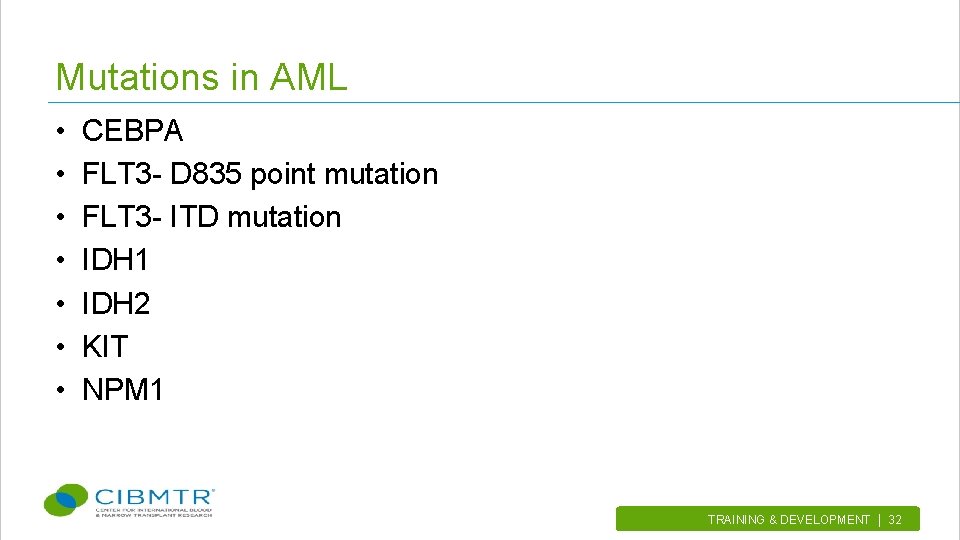 Mutations in AML • • CEBPA FLT 3 - D 835 point mutation FLT