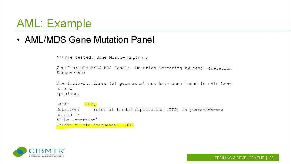 AML: Example • AML/MDS Gene Mutation Panel TRAINING & DEVELOPMENT | 33. 