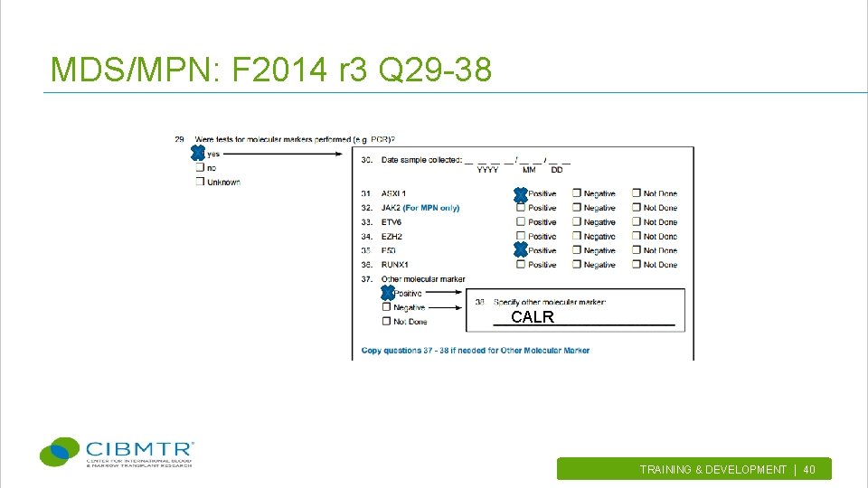 MDS/MPN: F 2014 r 3 Q 29 -38 CALR TRAINING & DEVELOPMENT | 40.